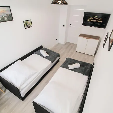 Διαμέρισμα Zloty Jelen Krynica Zdroj