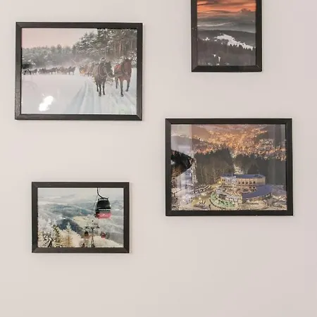 Zloty Jelen Apartman Krynica Zdrój